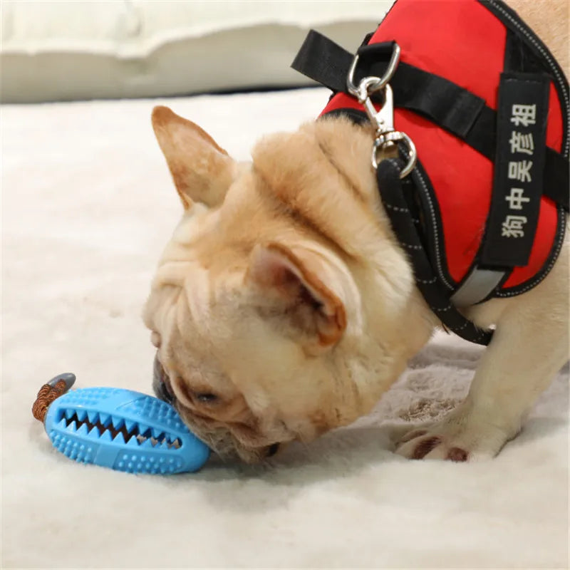 Teeth Cleaning Chew Toy