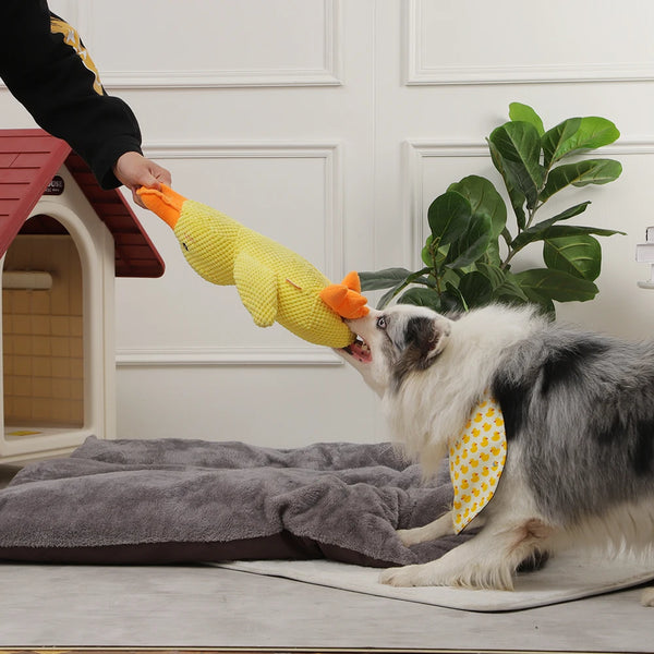 Quack-Quack Duck Dog Toy