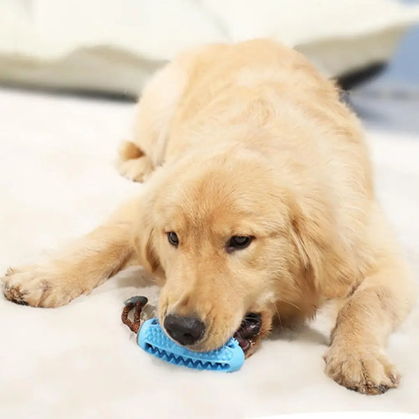 Teeth Cleaning Chew Toy