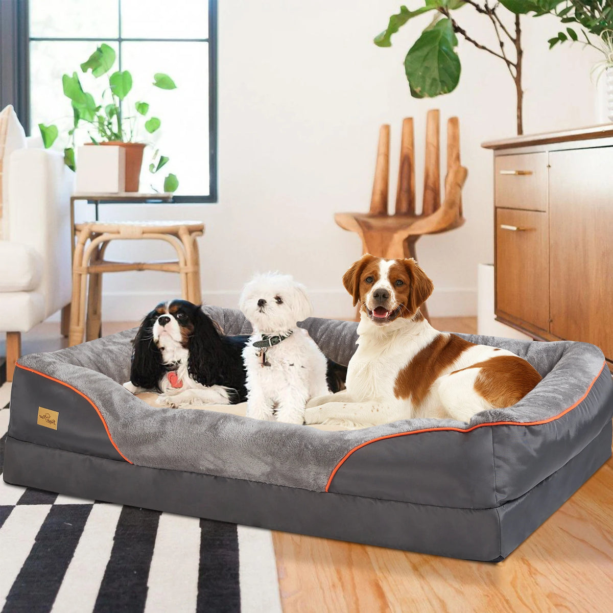 Orthopedic Foam Pet Bed