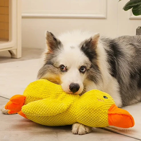 Quack-Quack Duck Dog Toy