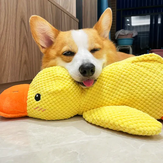 Quack-Quack Duck Dog Toy